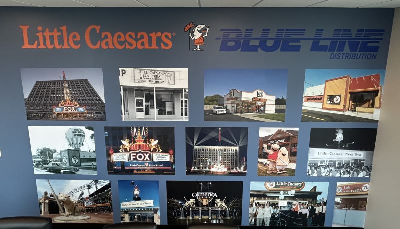 Bluetail Wall Graphics